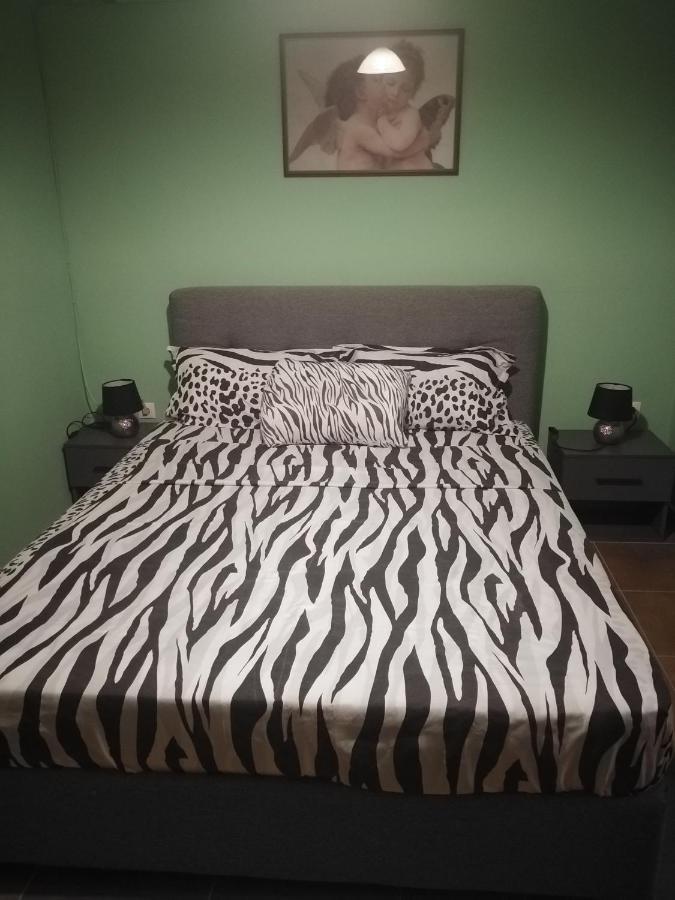 Vicky'S Apartment Near To The Airport Ολόκληρο Διαμέρισμα Antimachia Екстериор снимка